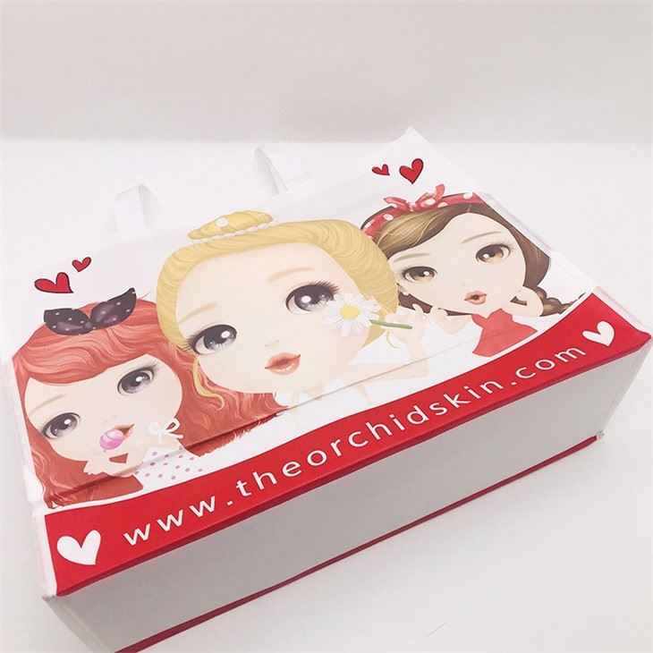 PP Non Woven Bag